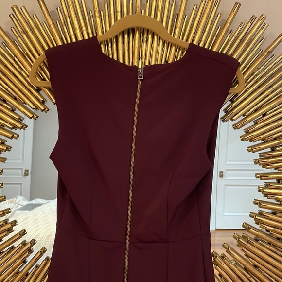 Veronica Beard Maroon Mini Dress - Picture 5 of 8